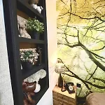 L'insolite, Les Pièces Cachées Apartamento *